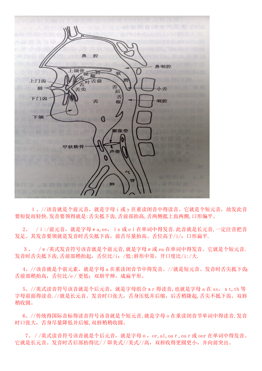 48个国际音标发音部位要领.doc_第1页