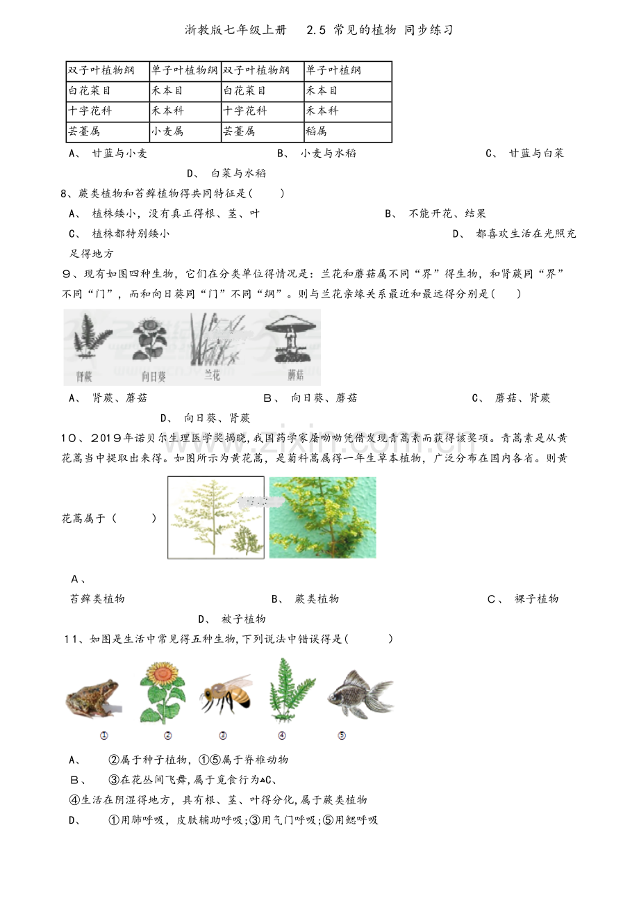 浙教版七年级上册 2.5 常见的植物 同步练习.docx_第2页