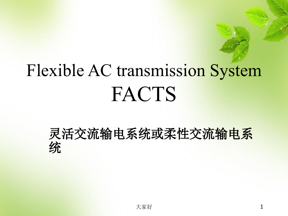 电力电子 多电平技术.ppt_第1页