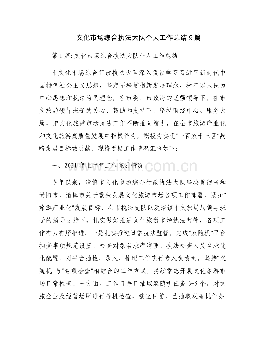 文化市场综合执法大队个人工作总结9篇.docx_第1页