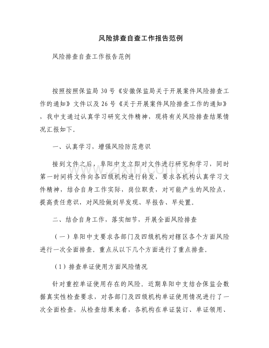 风险排查自查工作报告范例.docx_第1页