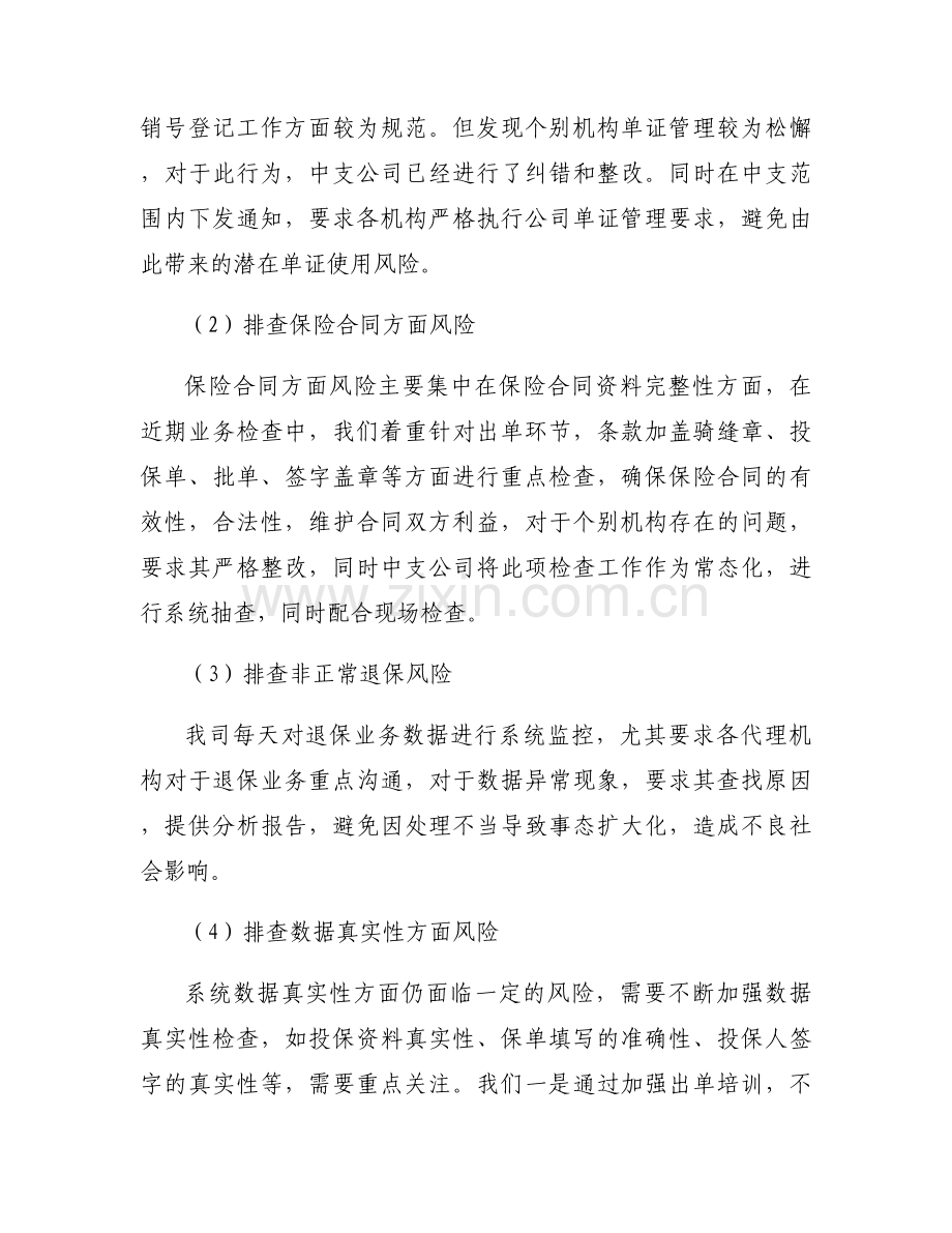 风险排查自查工作报告范例.docx_第2页