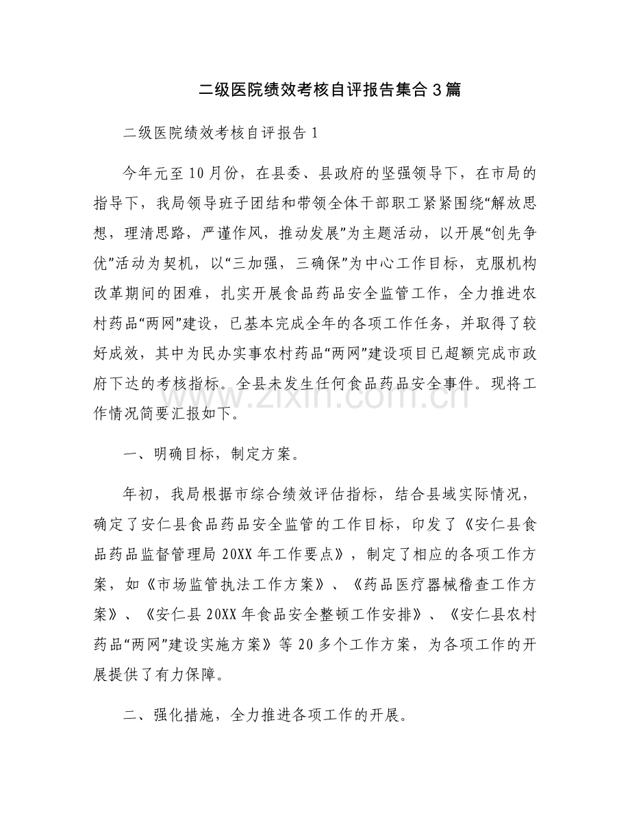 二级医院绩效考核自评报告集合3篇.docx_第1页