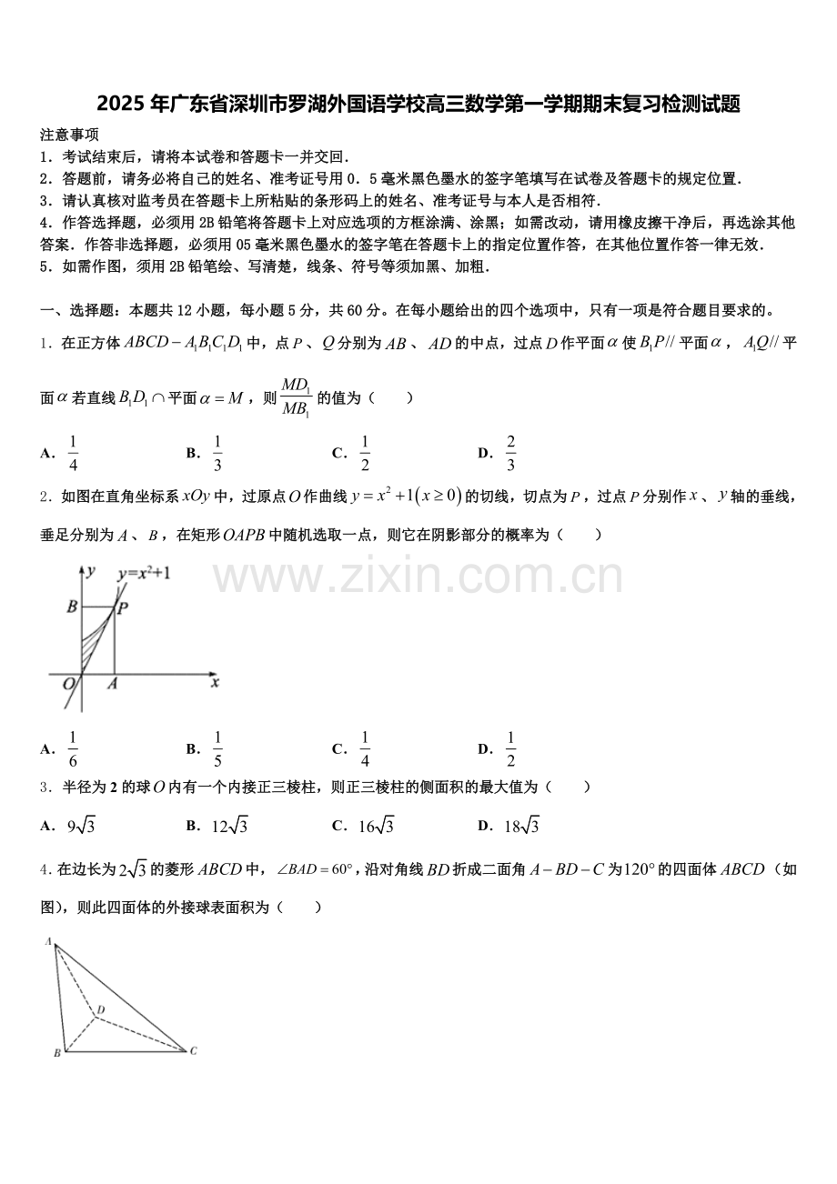 2025年广东省深圳市罗湖外国语学校高三数学第一学期期末复习检测试题.doc_第1页