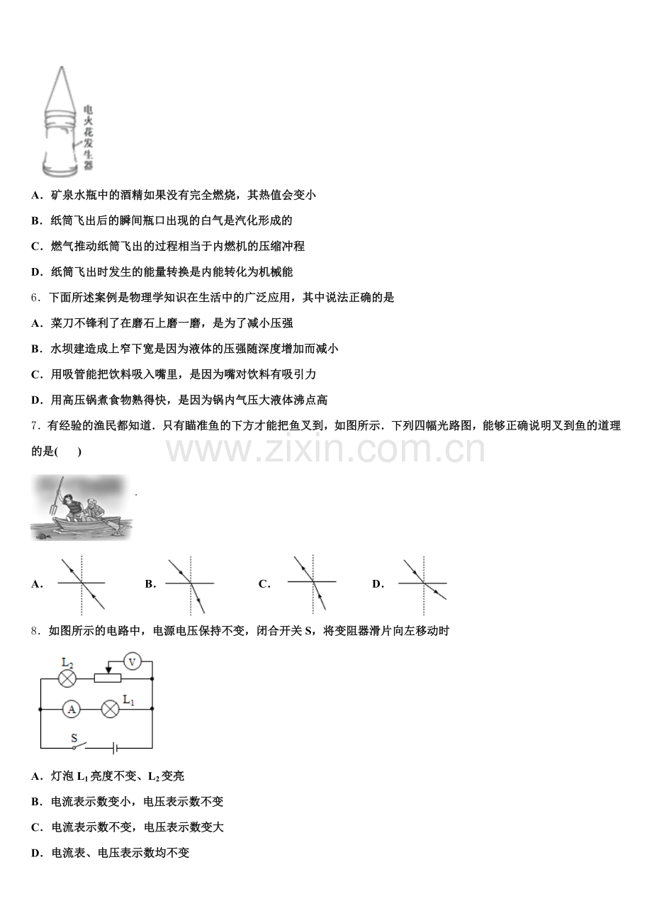 青海省玉树市2025届初三下学期第二次质量检测试题（物理试题）含解析.doc_第2页