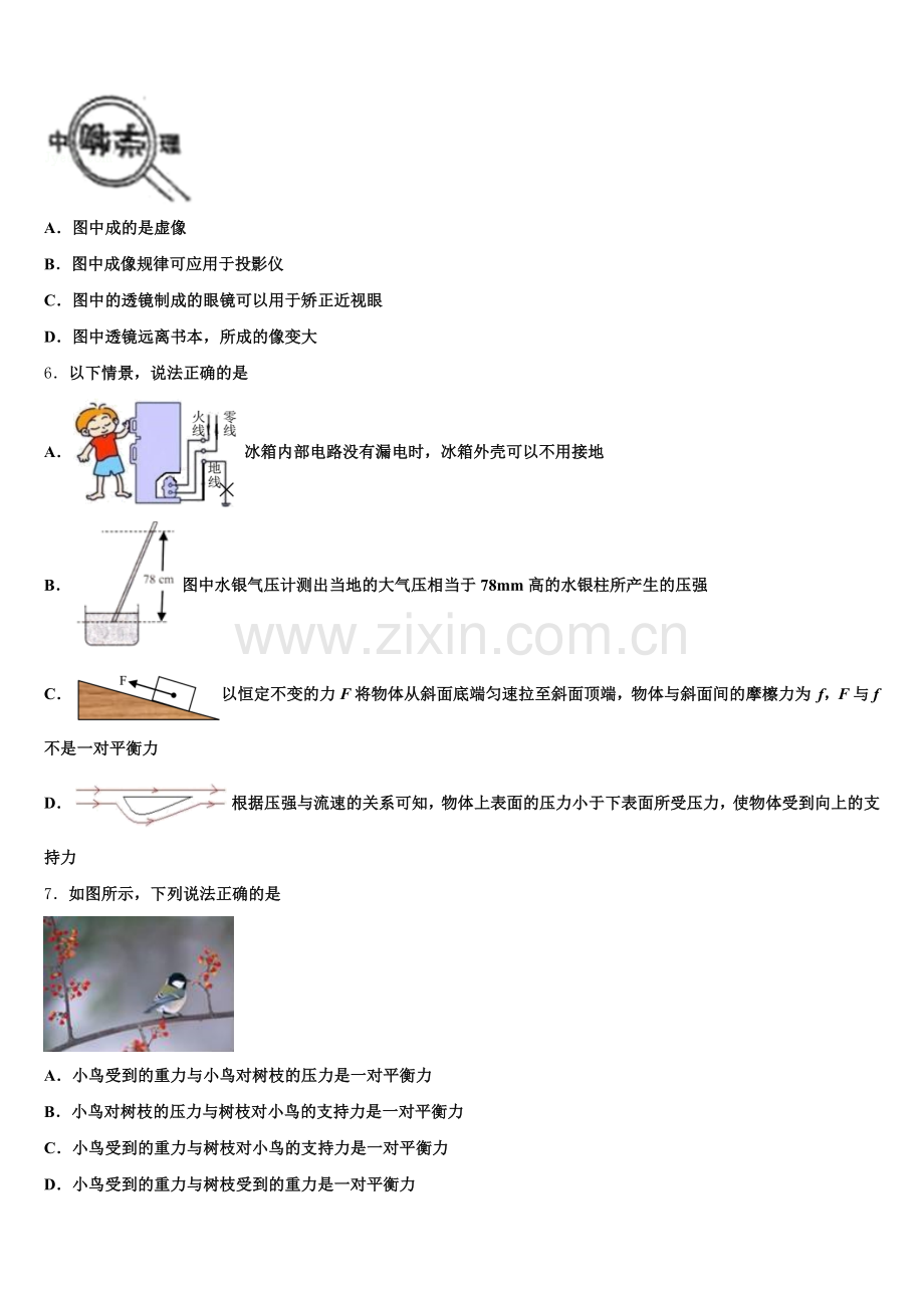 2025年河南省邓州市张村乡中学初三3月中考模拟物理试题含解析.doc_第2页