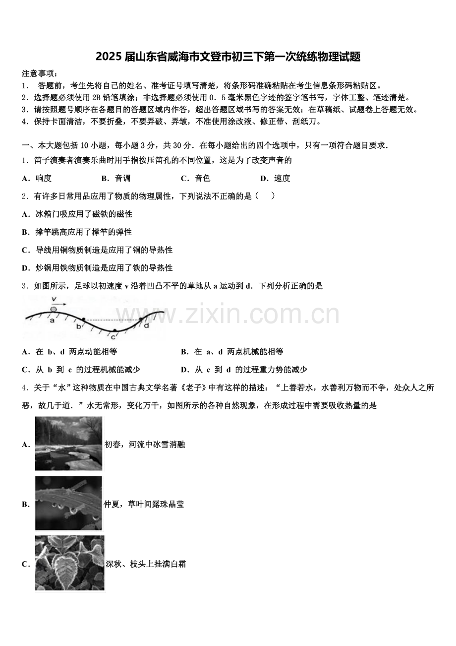 2025届山东省威海市文登市初三下第一次统练物理试题含解析.doc_第1页