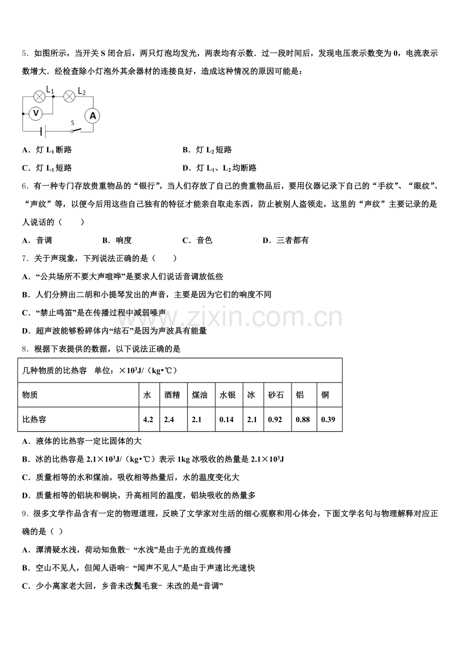 2024-2025学年广东省湛江市第二中学初三第二次阶段性测试物理试题含解析.doc_第2页