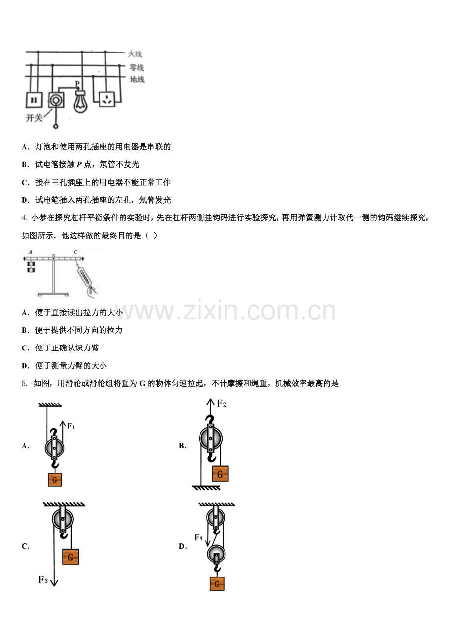 2024-2025学年江苏省无锡市两区联考初三下学期适应性月考（一）物理试题含解析.doc_第2页