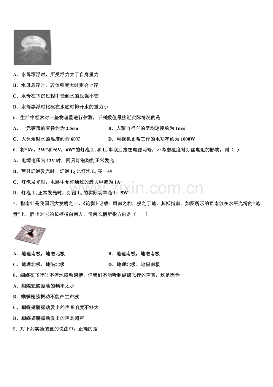 2024-2025学年辽宁省朝阳市第一中学初三中考适应性练习（一）物理试题含解析.doc_第2页