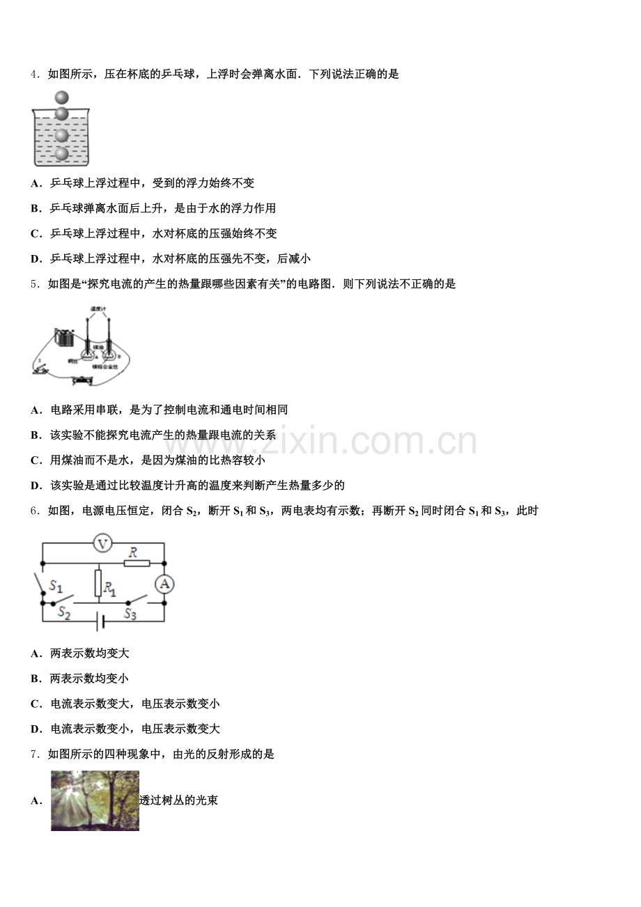2025年江苏省新沂市第四中学初三2月月考试题物理试题含解析.doc_第2页