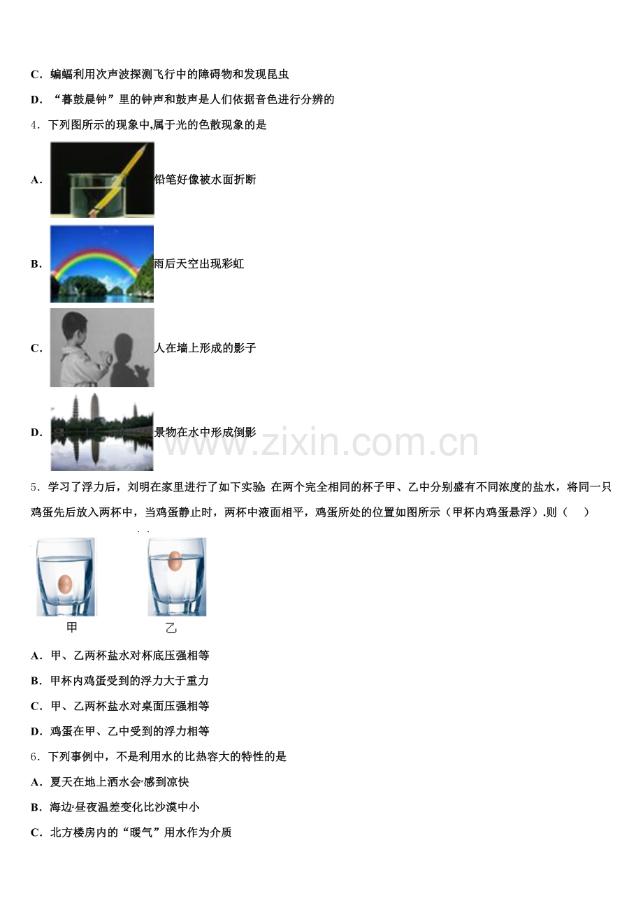 2025年广东省深圳实验学校初三联考考试物理试题含解析.doc_第2页