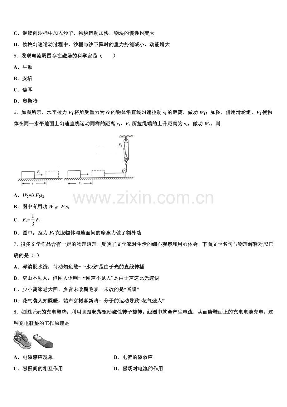 2025年广东省湛江市雷州市全国卷Ⅰ物理试题物理中考模拟题解析（精编版）含解析.doc_第2页