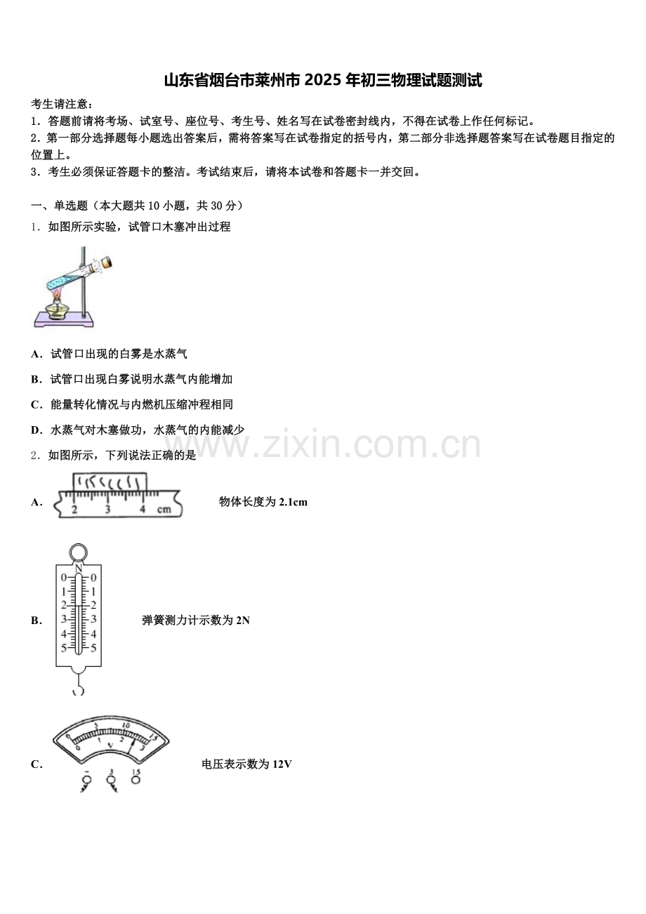 山东省烟台市莱州市2025年初三物理试题测试含解析.doc_第1页
