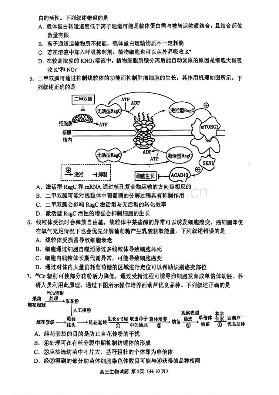 2025届山东省聊城邹城济宁市高三下学期11月期中考-生物试卷（含答案）.docx_第2页