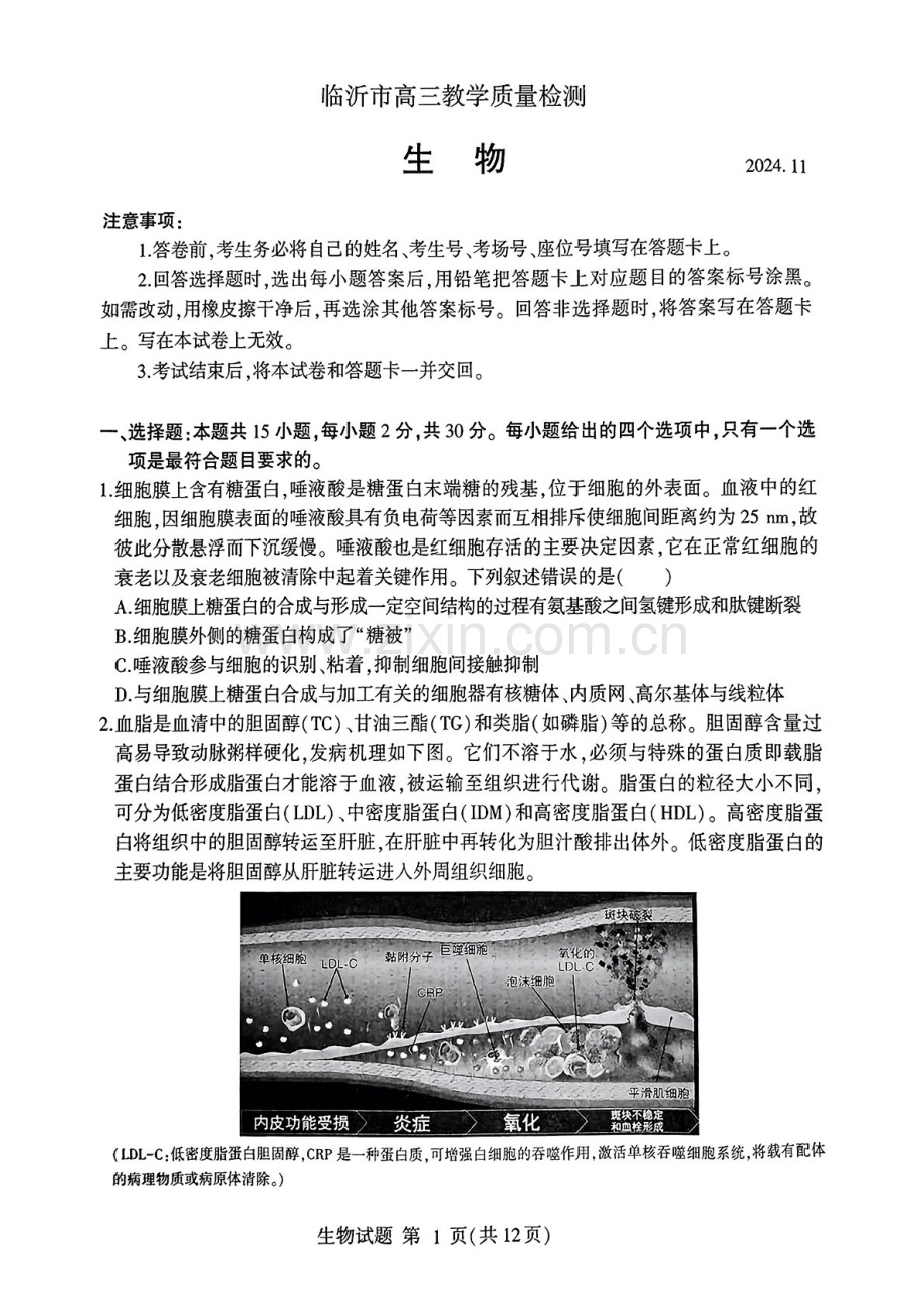 2025届山东省临沂市九五联考高三下学期11月期中考-生物试卷（含答案）.docx_第1页
