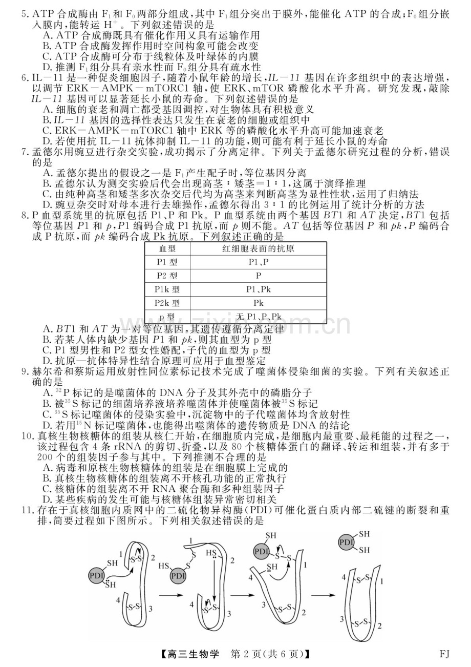 2025届福建省金科大联考高三下学期11月测评-生物试题（含答案）.docx_第2页