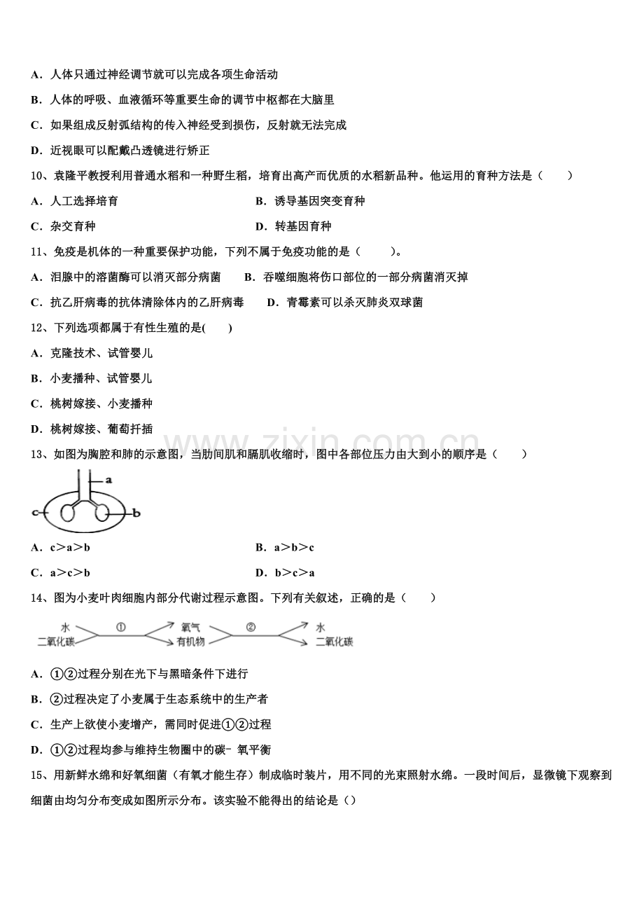 2025届福建省龙岩市新罗区龙岩初级中学初三下期末考试生物试题含解析.doc_第2页