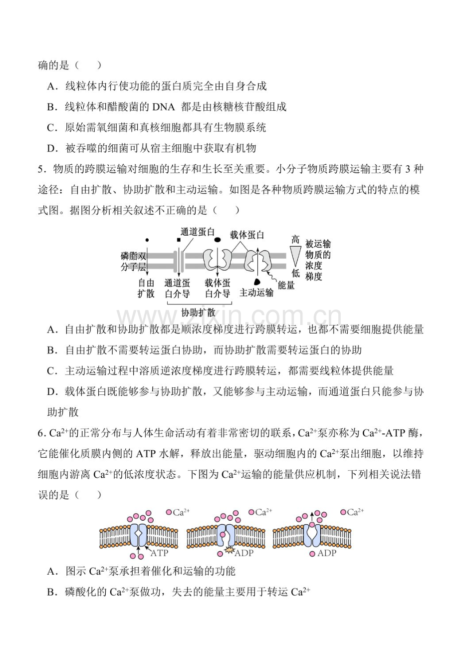 2025届陕西省西安中学高三下学期11月第二次调研考-生物试题（含答案）.docx_第2页
