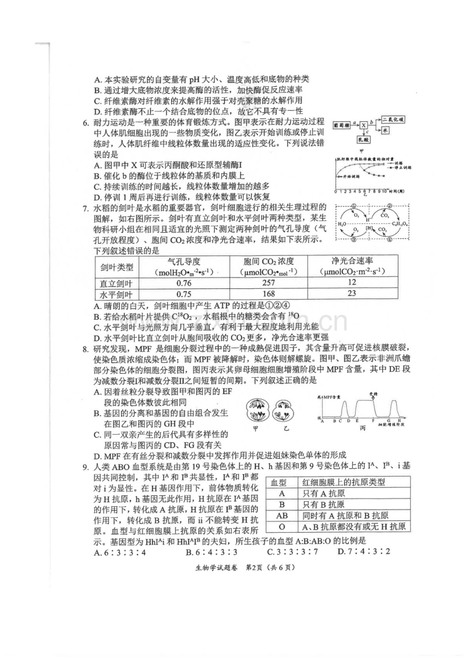 2025届四川省绵阳市高三下学期第一次诊断考-生物试题（含答案）.docx_第2页