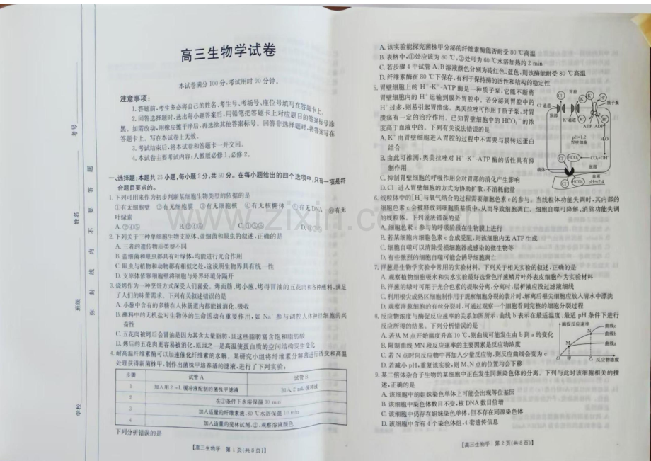2025届新疆金太阳高三下学期10月联考-生物试题（含答案）.docx_第1页