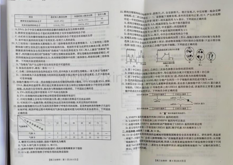 2025届新疆金太阳高三下学期10月联考-生物试题（含答案）.docx_第2页