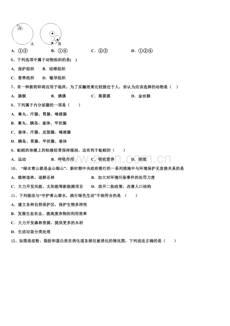 2025年广州市白云区重点名校初三下学期期中模拟调研生物试题含解析.doc_第2页
