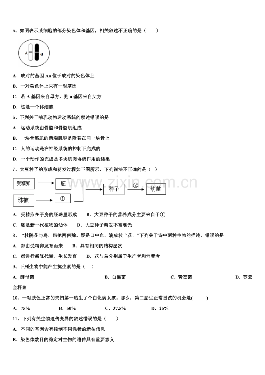 内蒙古自治区海勃湾区2024-2025学年初三（普通班）下学期期末考试生物试题试卷含解析.doc_第2页