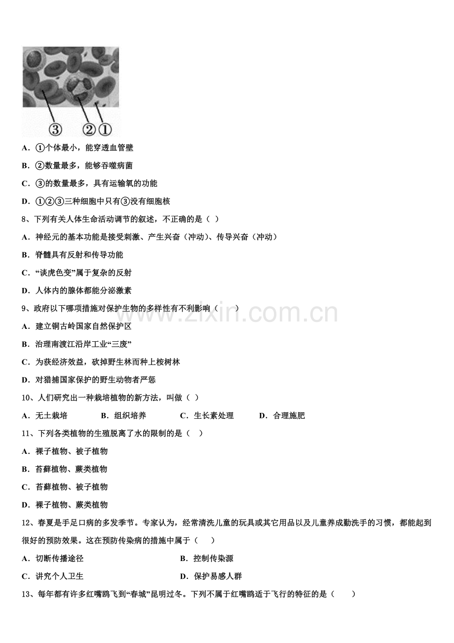 2025届广东省潮阳区华侨中学中考押题金卷（全国卷Ⅲ）生物试题试卷含解析.doc_第2页