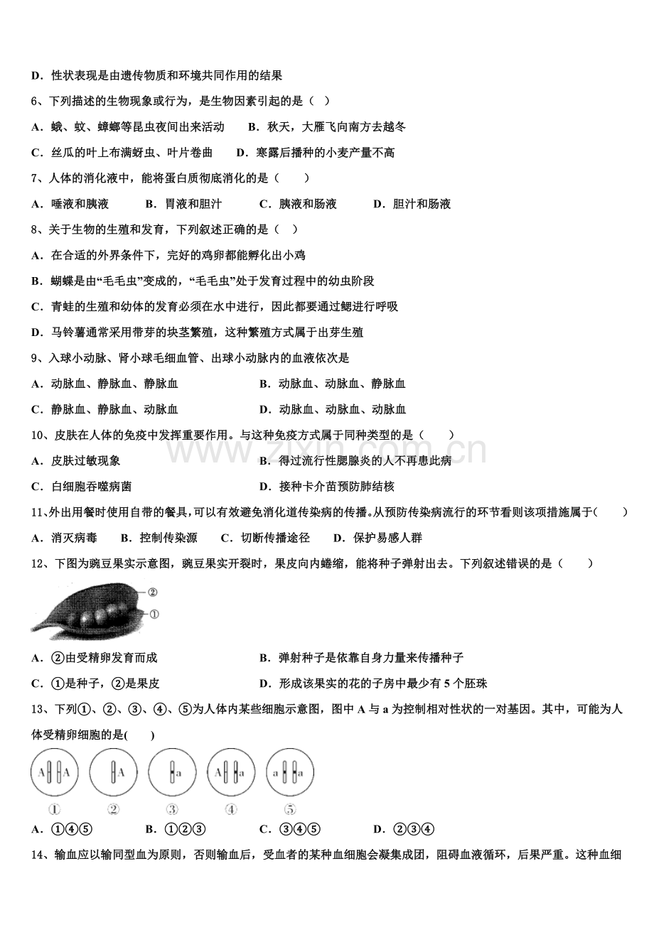 安徽省宿州2025年中考考前冲刺必刷卷（五）全国I卷生物试题含解析.doc_第2页