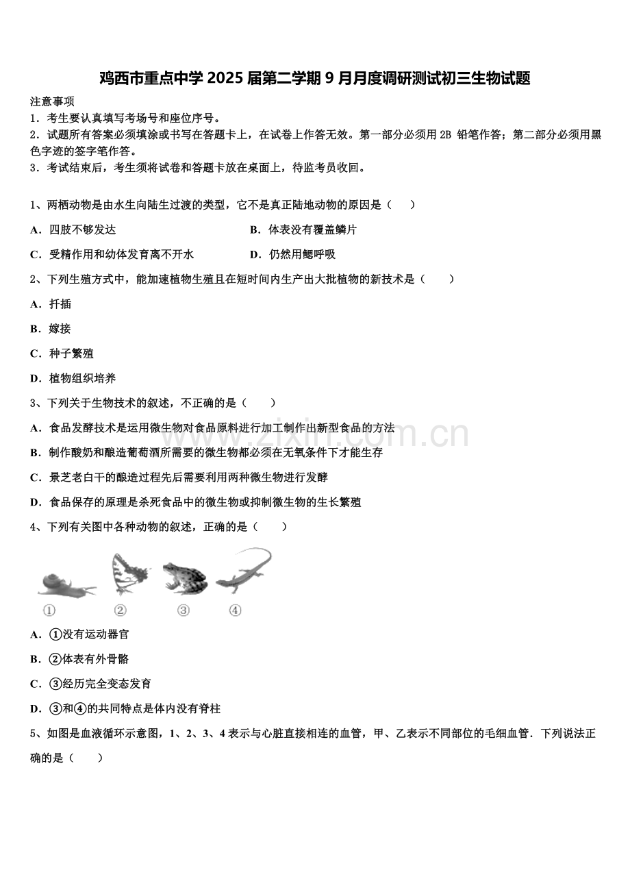 鸡西市重点中学2025届第二学期9月月度调研测试初三生物试题含解析.doc_第1页