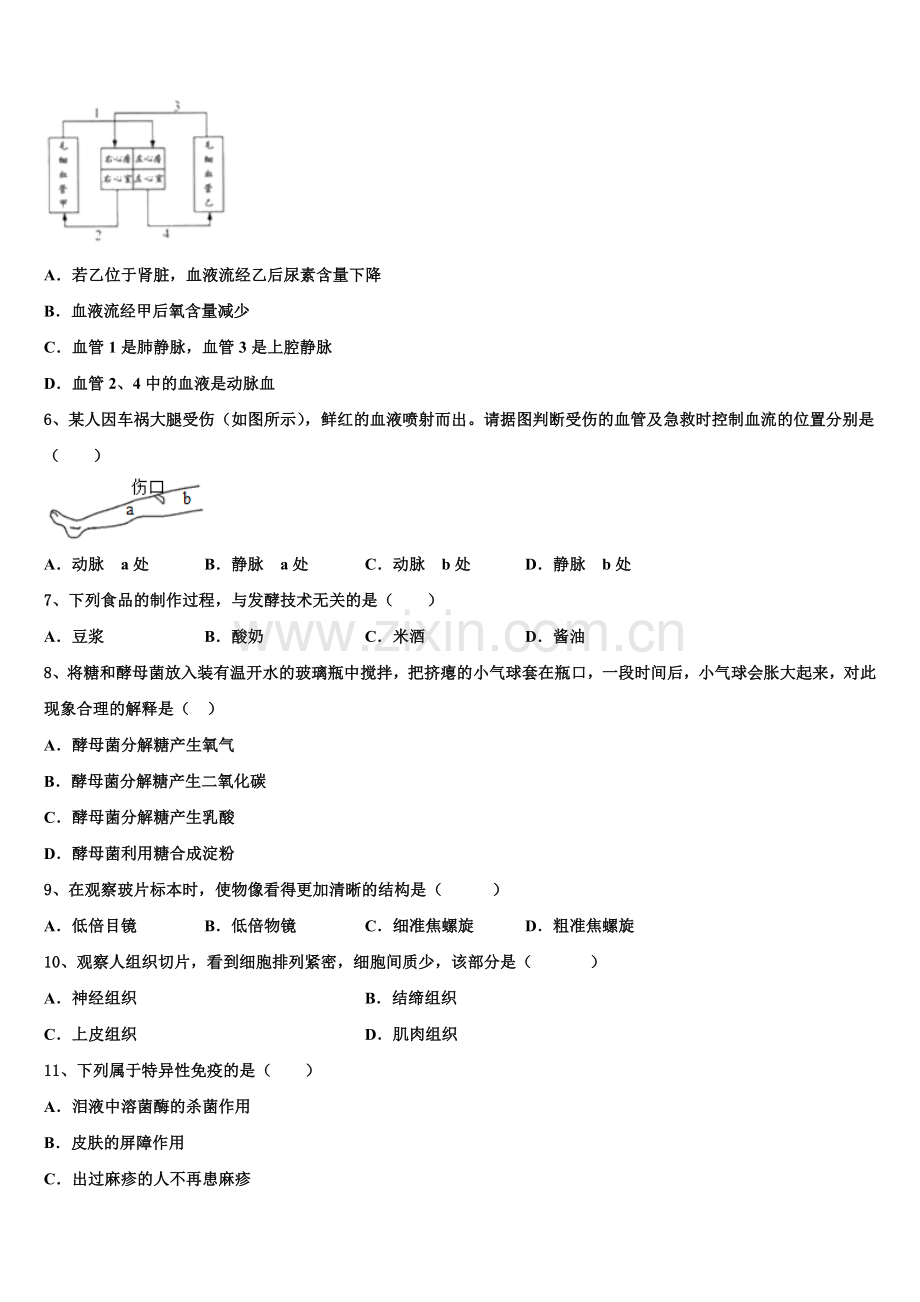 鸡西市重点中学2025届第二学期9月月度调研测试初三生物试题含解析.doc_第2页