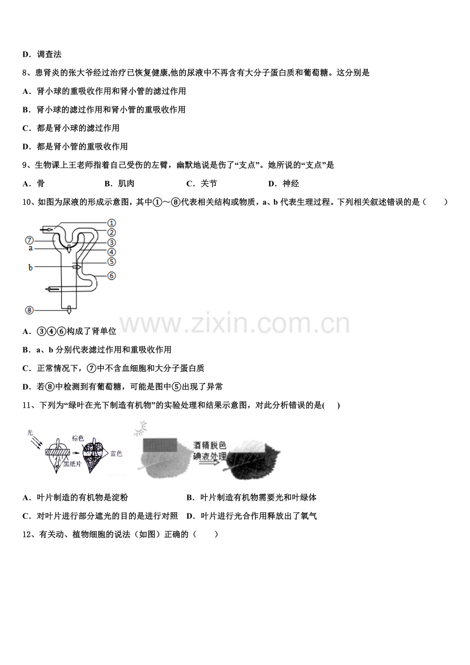 福建省泉州德化县联考2025年初三生物试题（下）期中试卷含解析.doc_第2页