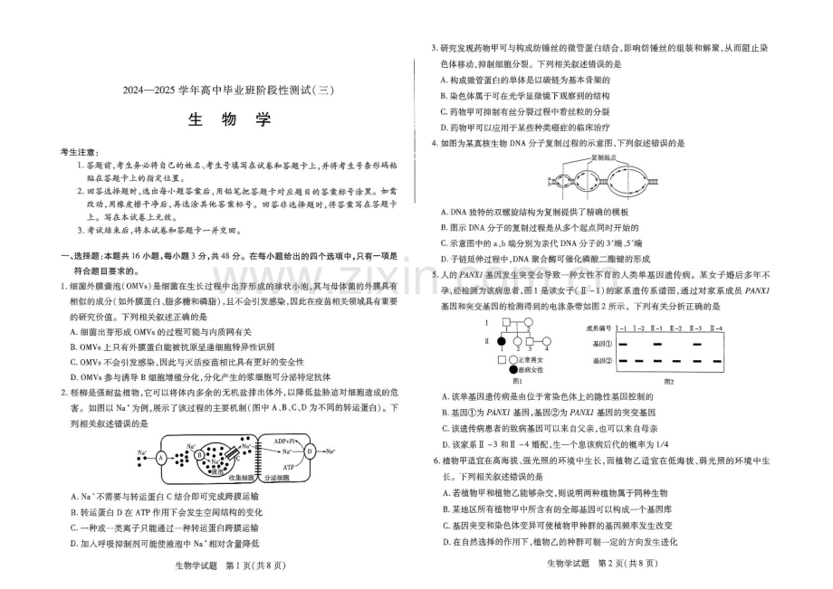 2025届天一大联考高三下学期11月阶段考（三）-生物试题（含答案）.docx_第1页
