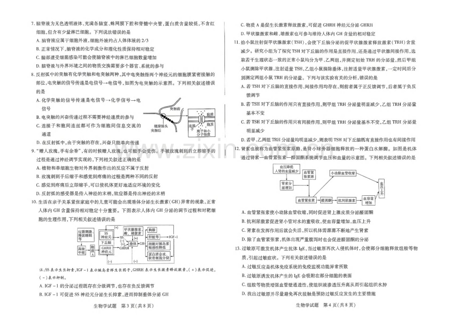 2025届天一大联考高三下学期11月阶段考（三）-生物试题（含答案）.docx_第2页