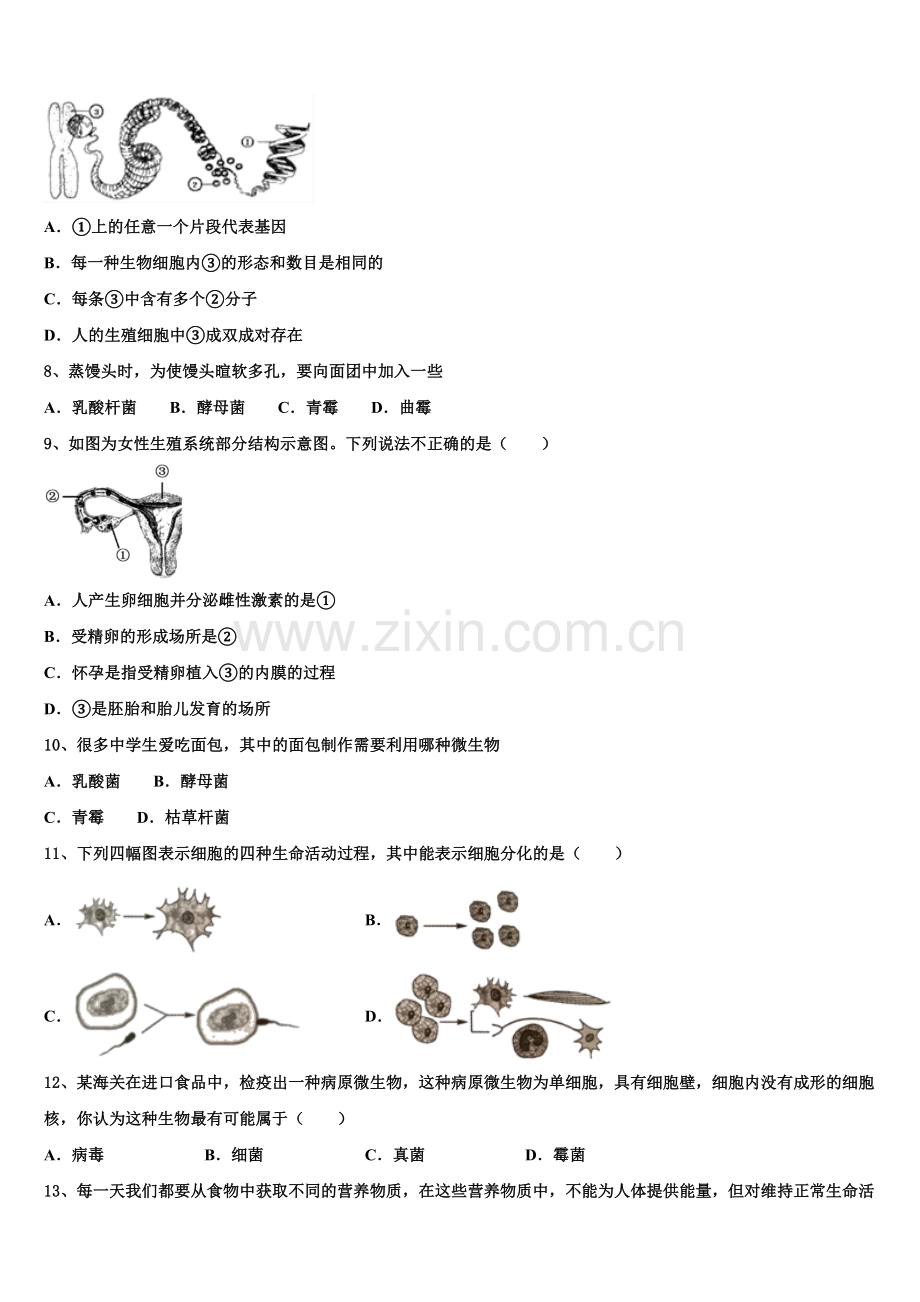 2025届广东省东莞市石碣镇新初三开学摸底考（全国I卷）生物试题含解析.doc_第2页