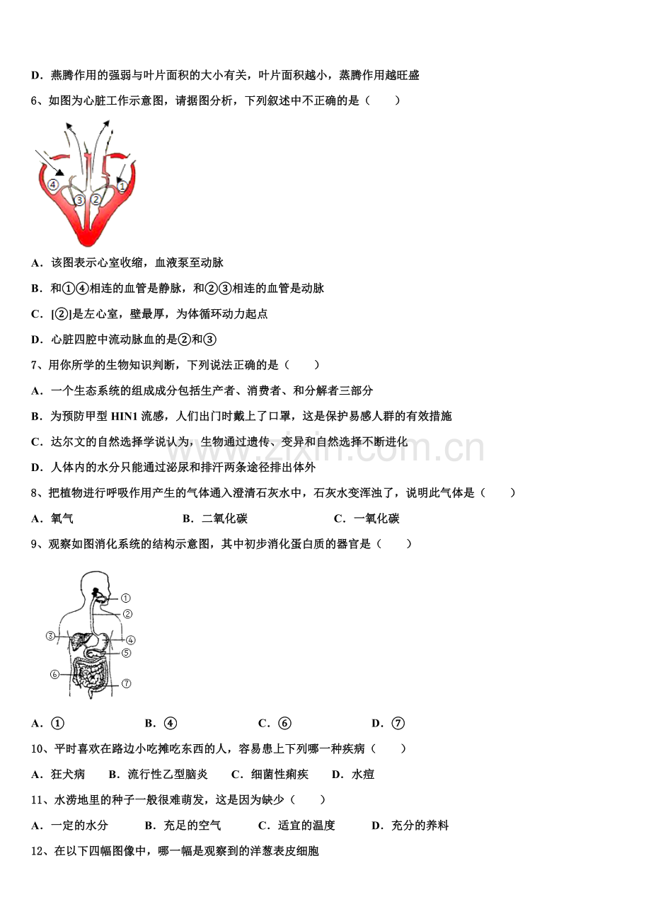 2025年江苏省泰州市泰兴实验中学学业水平考试生物试题模拟卷(十三)含解析.doc_第2页