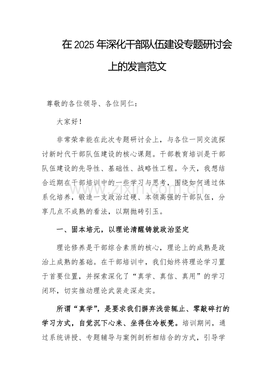 在2025年深化干部队伍建设专题研讨会上的发言范1.docx_第1页