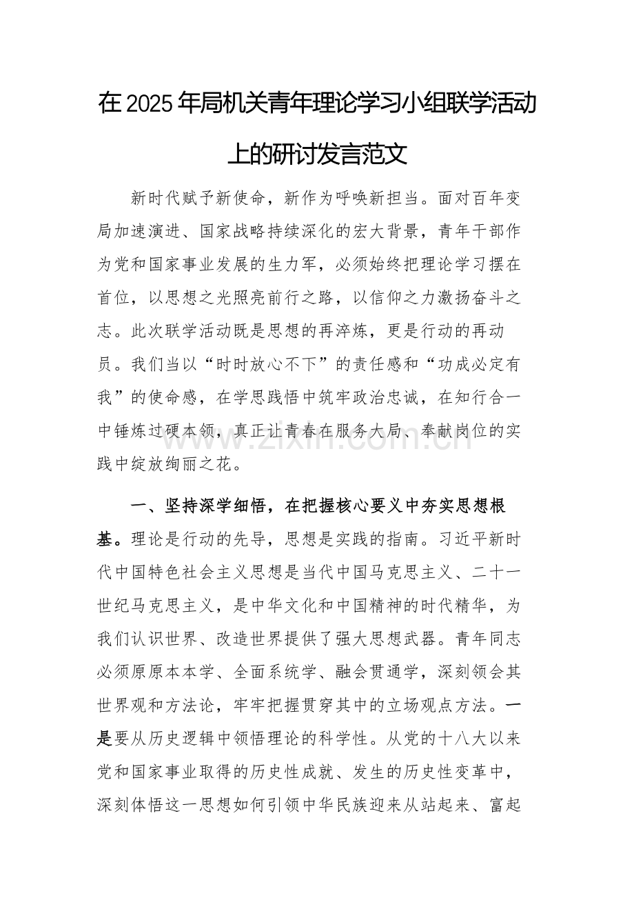 在2025年机关青年理论学习小组联学活动上的研讨发言范文.docx_第1页