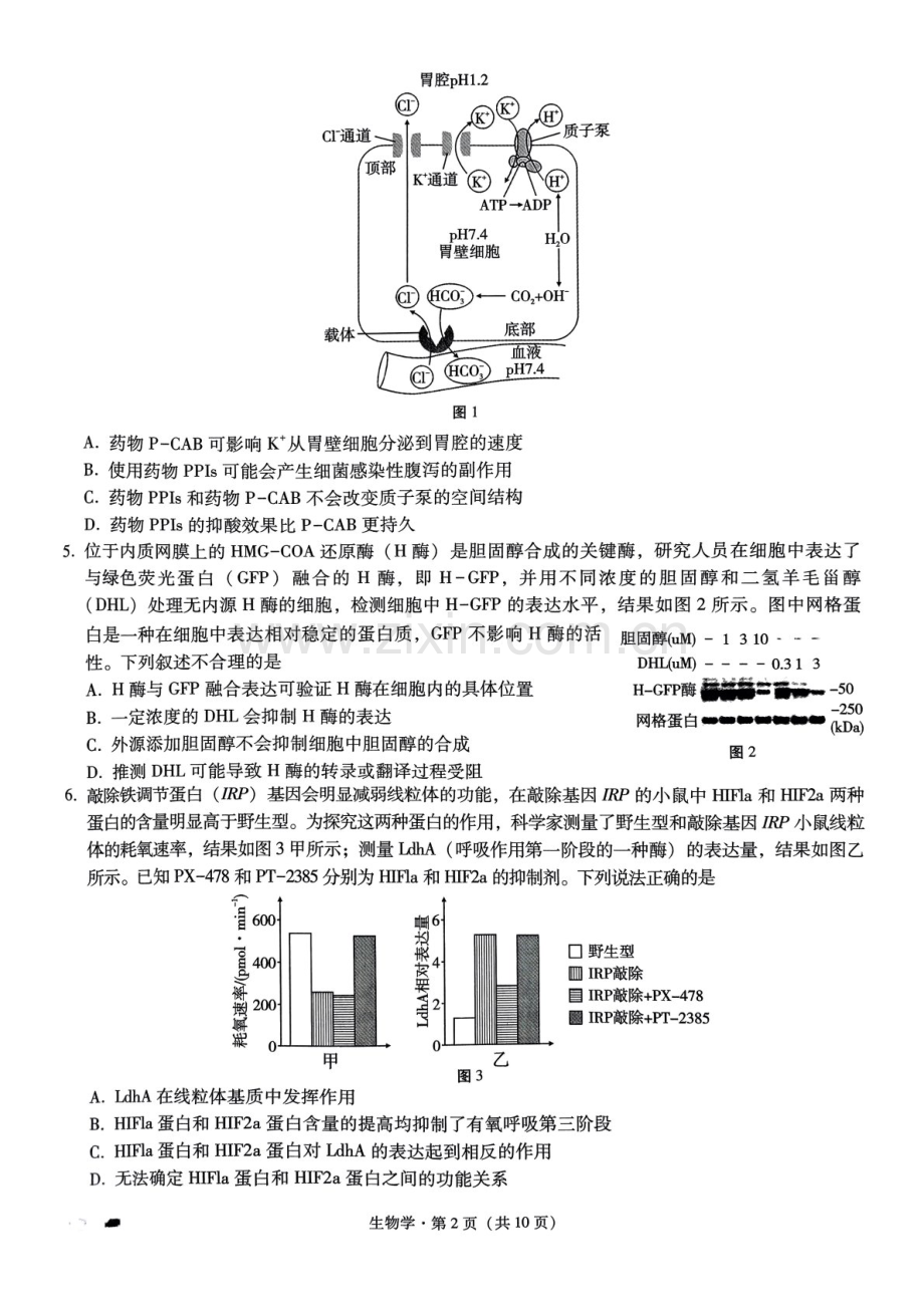 2025届重庆巴蜀中学高三下学期适应性月考卷（三）-生物试题（含答案）.docx_第2页