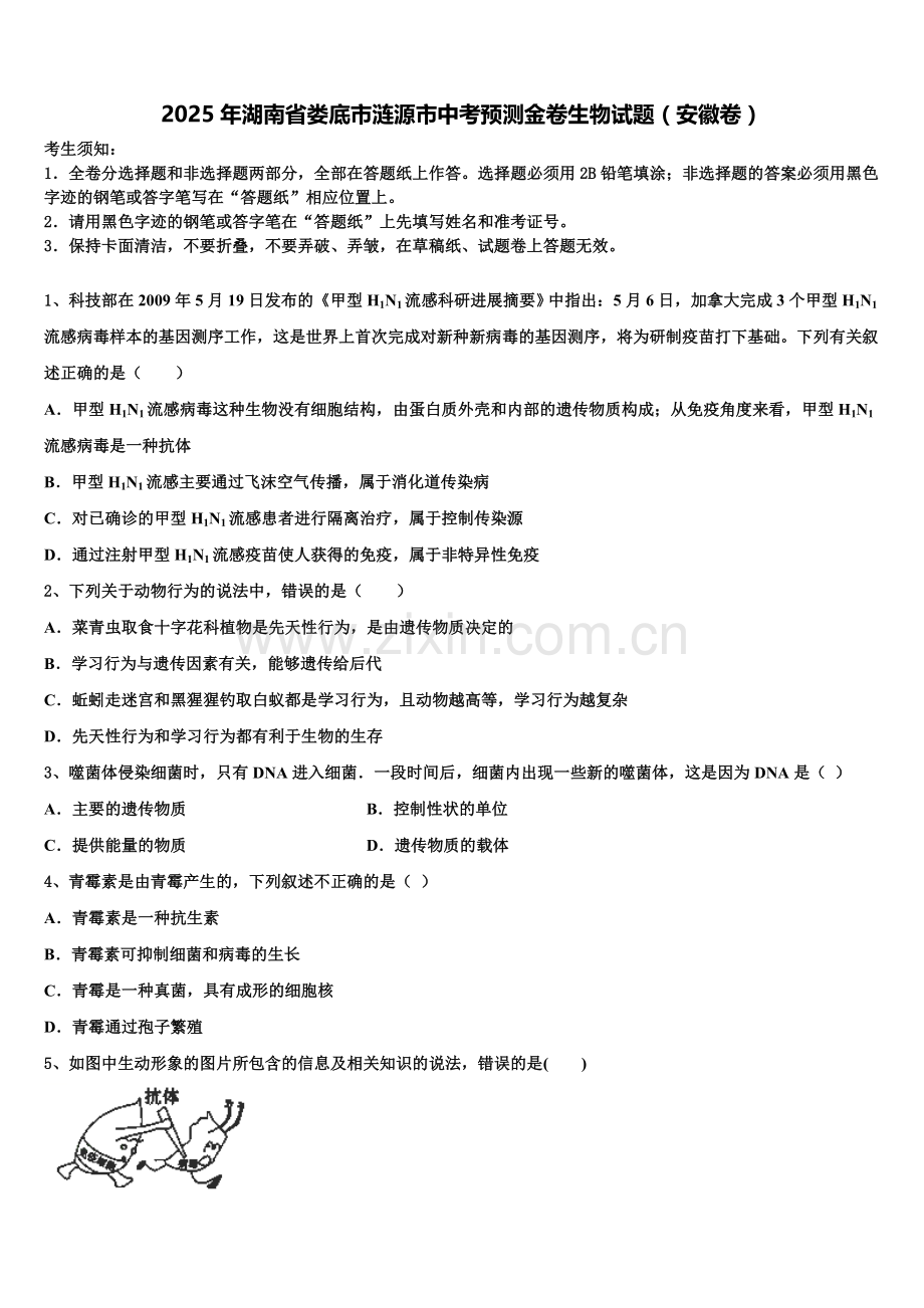 2025年湖南省娄底市涟源市中考预测金卷生物试题（安徽卷）含解析.doc_第1页