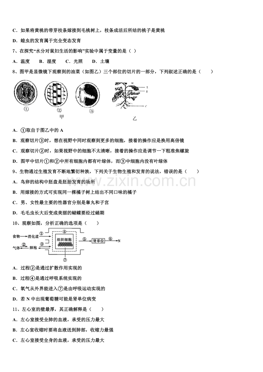 江苏省盐城市东台市第二联盟2025届第二学期初三生物试题统练（一）含解析.doc_第2页