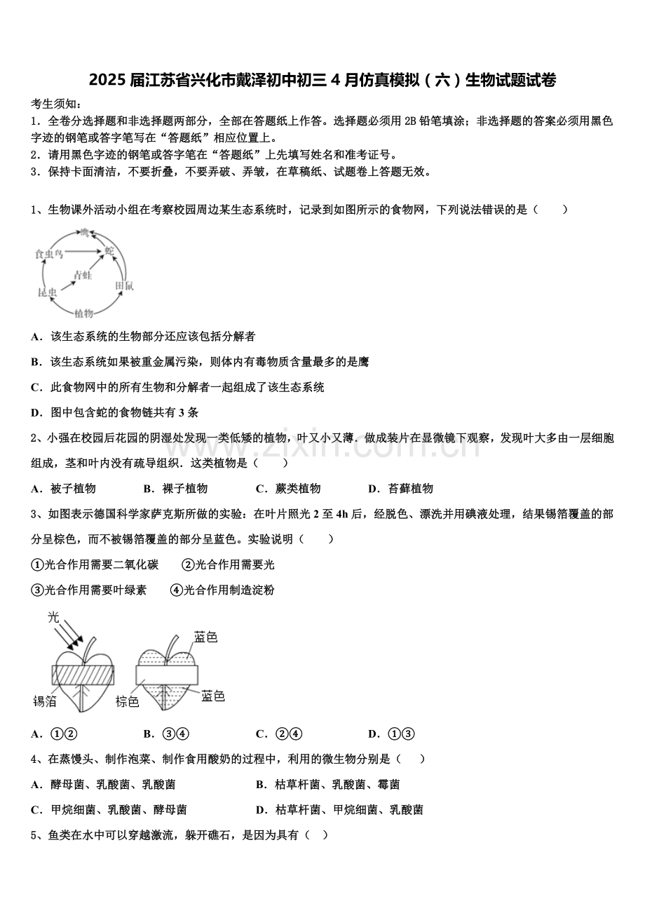 2025届江苏省兴化市戴泽初中初三4月仿真模拟（六）生物试题试卷含解析.doc_第1页
