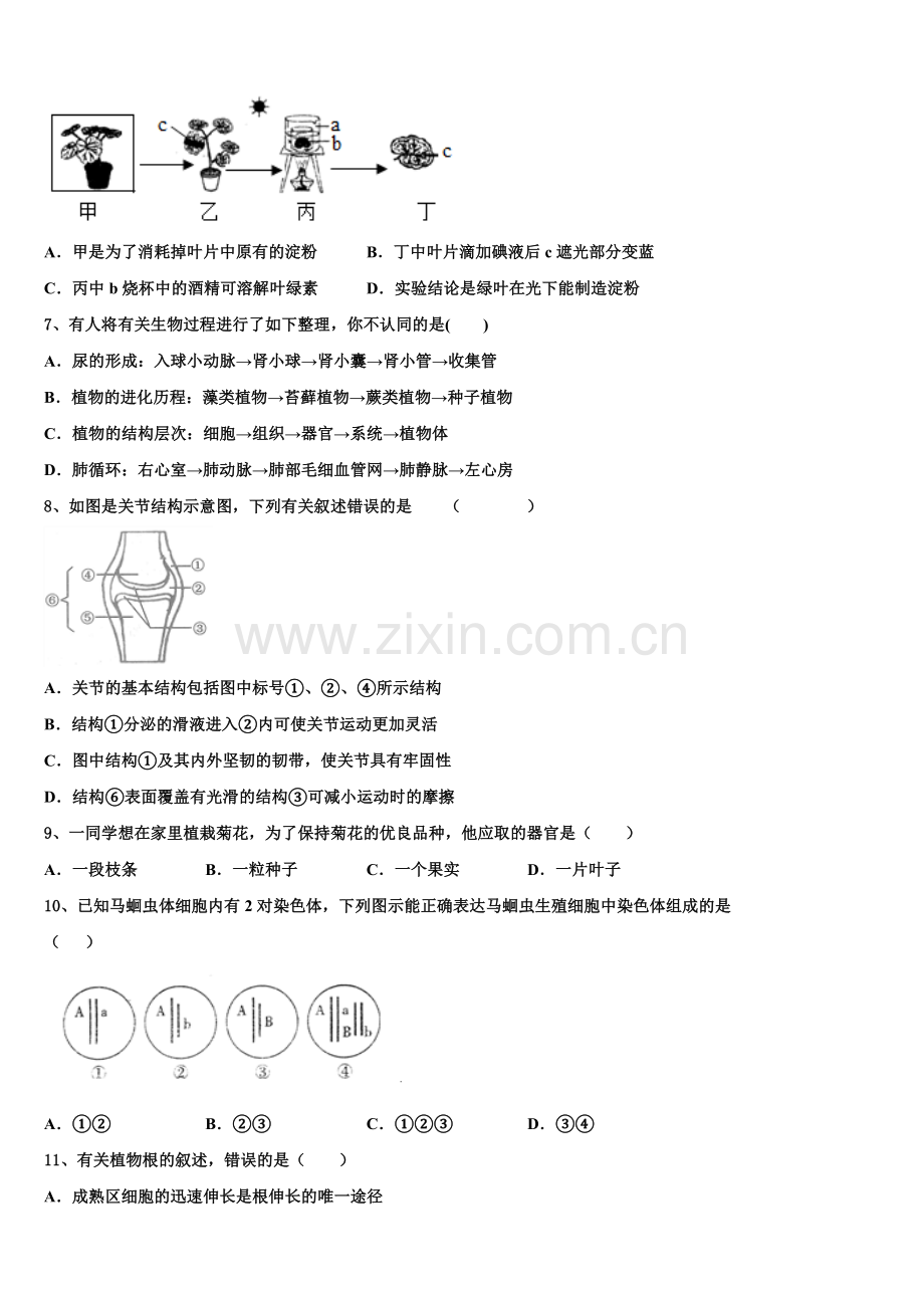 2025年福建省三明建宁县联考初三（下）第一次中考模拟生物试题含解析.doc_第2页
