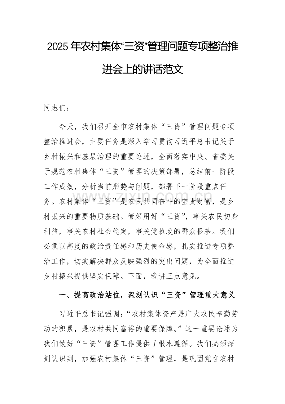 2025年农村集体“三资”管理问题专项整治推进会上的讲话范文.docx_第1页