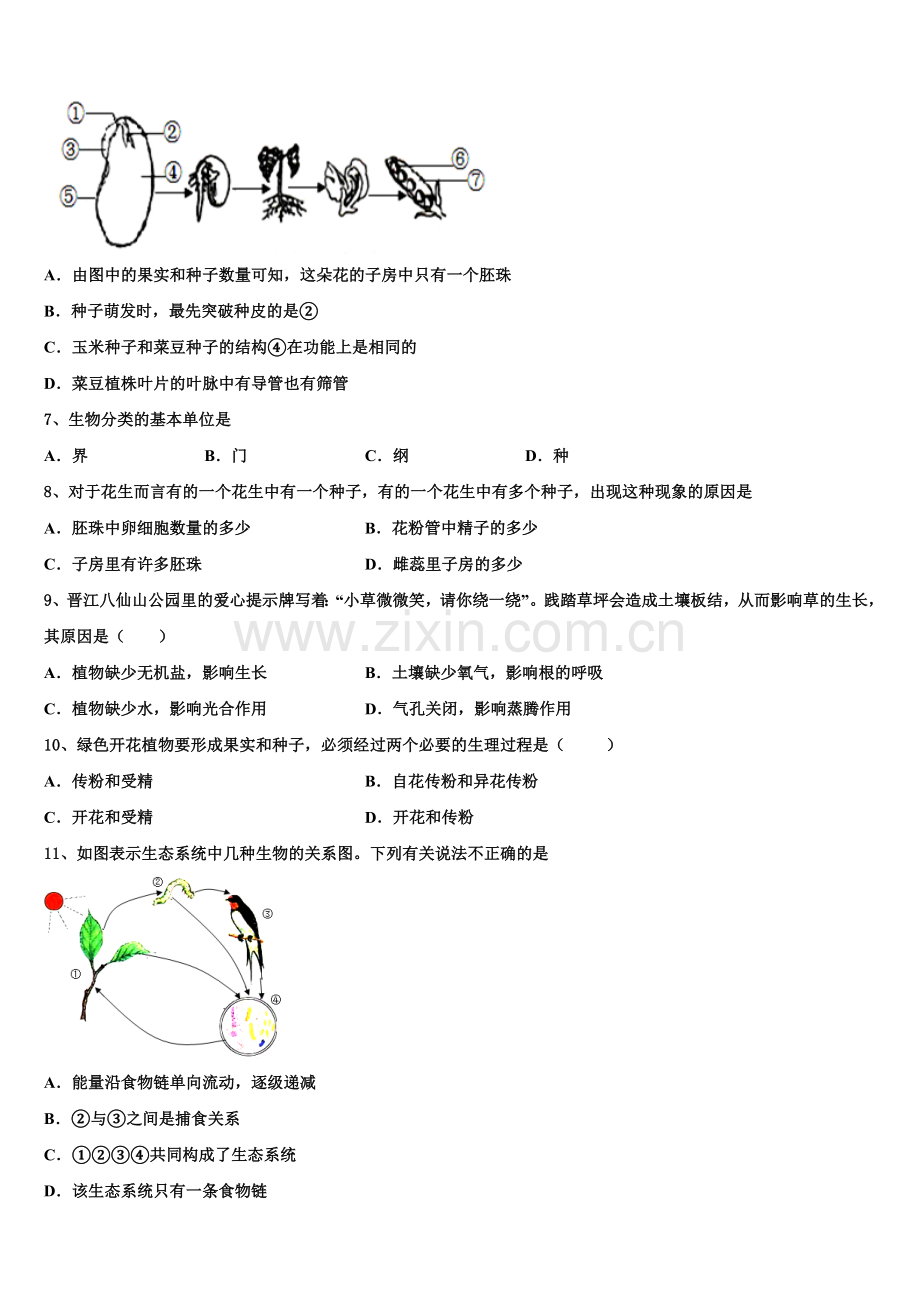 吉林大附中力旺实验中学2024-2025学年初三年级第二次模拟考试生物试题试卷含解析.doc_第2页