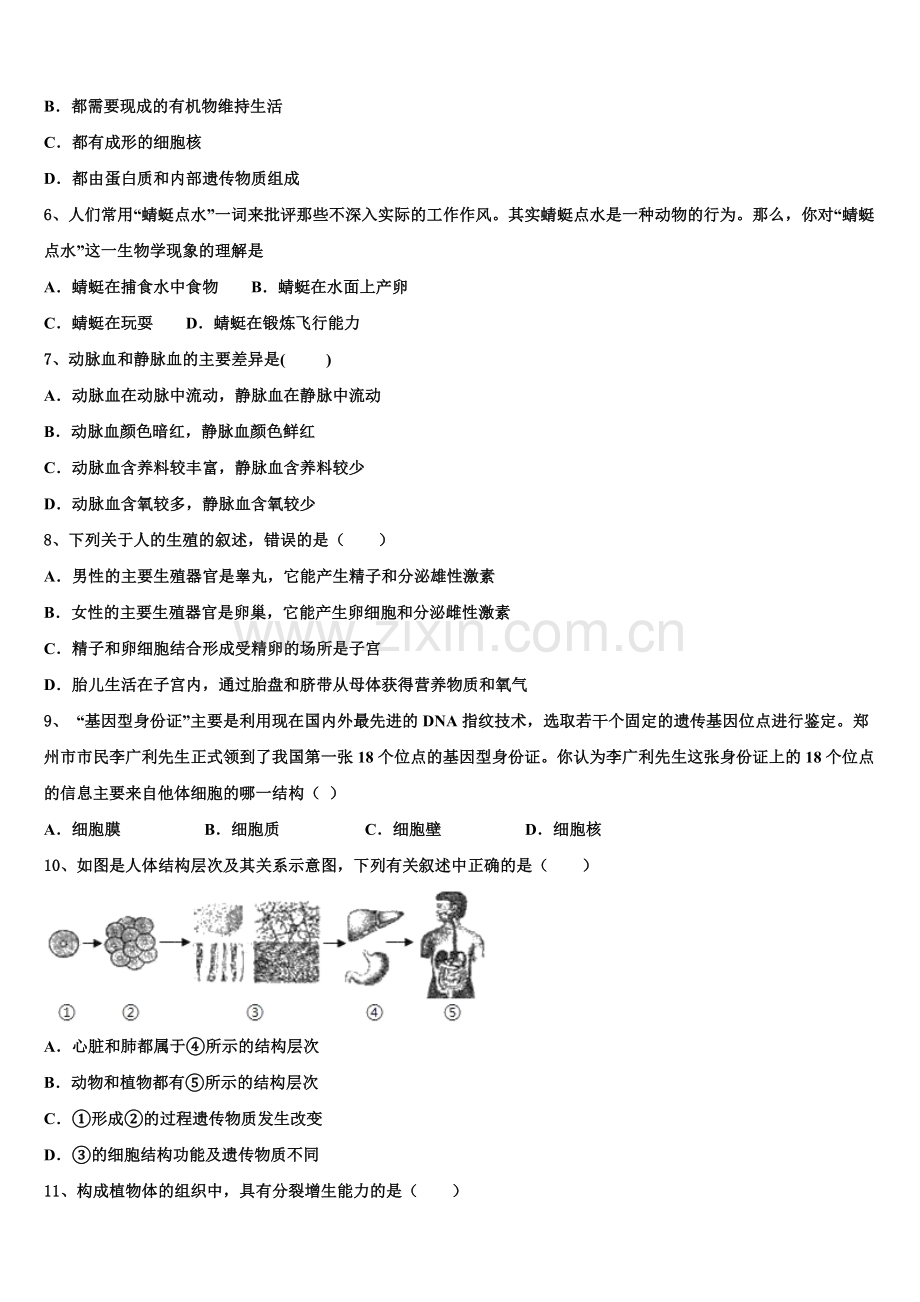 2025年重庆市大渡口区初三毕业班阶段性测试（七）生物试题含解析.doc_第2页