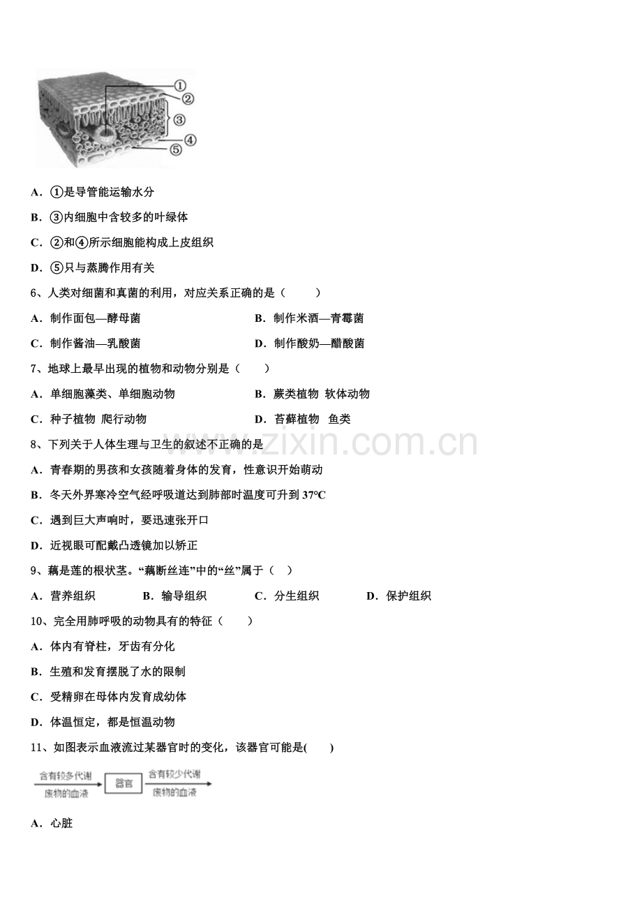2025年山东省威海文登区四校联考初三5月综合质量检测试题生物试题含解析.doc_第2页