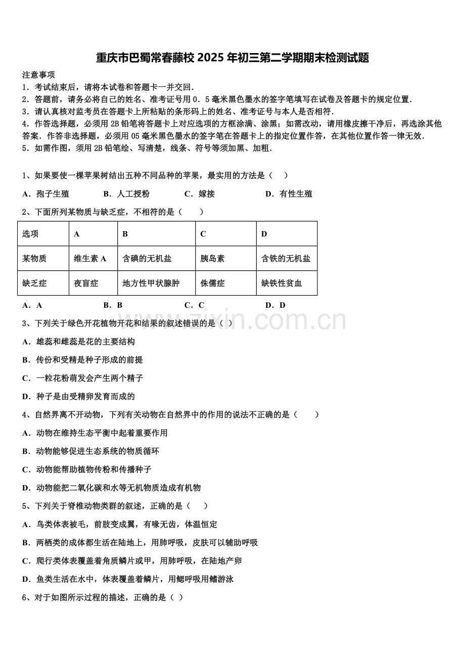 重庆市巴蜀常春藤校2025年初三第二学期期末检测试题含解析.doc_第1页