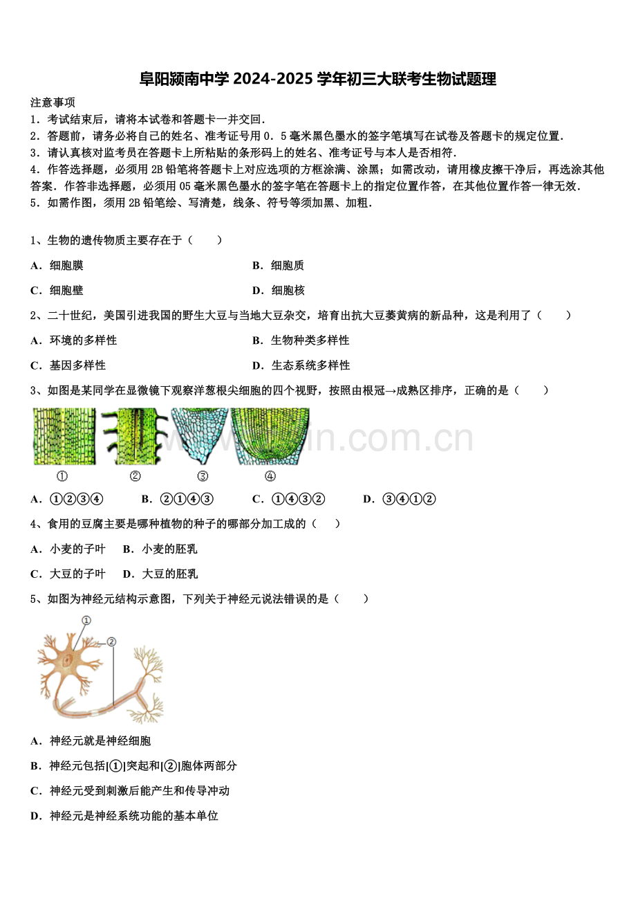 阜阳颍南中学2024-2025学年初三大联考生物试题理含解析.doc_第1页